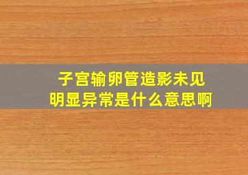 子宫输卵管造影未见明显异常是什么意思啊