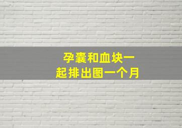 孕囊和血块一起排出图一个月