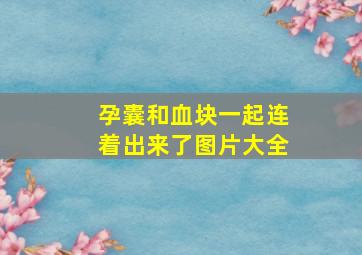 孕囊和血块一起连着出来了图片大全