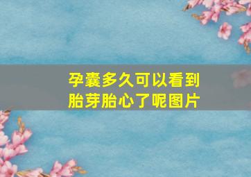 孕囊多久可以看到胎芽胎心了呢图片