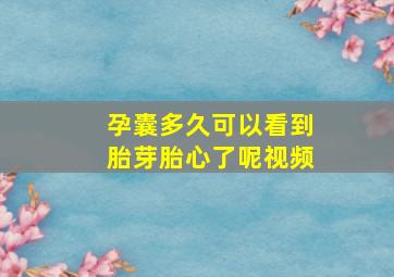 孕囊多久可以看到胎芽胎心了呢视频