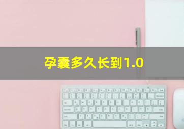 孕囊多久长到1.0