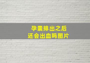 孕囊排出之后还会出血吗图片