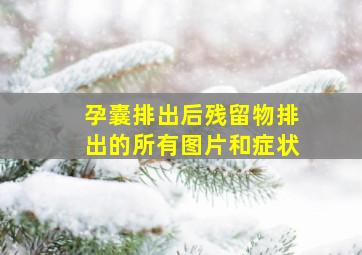 孕囊排出后残留物排出的所有图片和症状