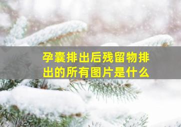 孕囊排出后残留物排出的所有图片是什么