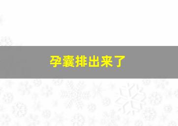 孕囊排出来了