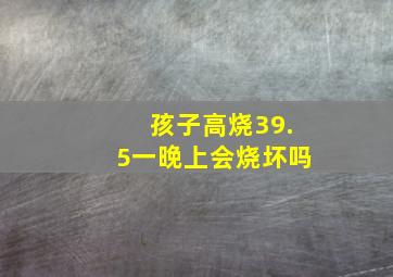 孩子高烧39.5一晚上会烧坏吗