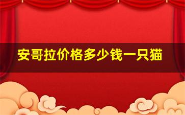 安哥拉价格多少钱一只猫