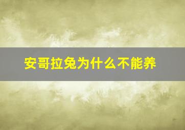 安哥拉兔为什么不能养