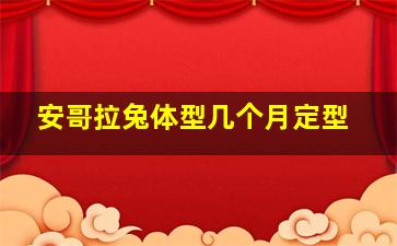 安哥拉兔体型几个月定型