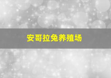 安哥拉兔养殖场