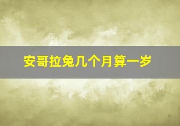 安哥拉兔几个月算一岁