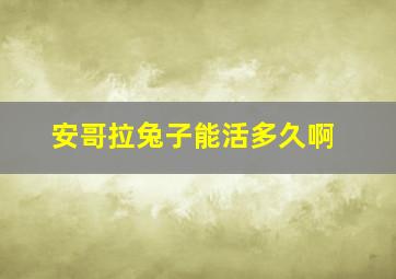 安哥拉兔子能活多久啊