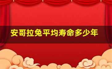 安哥拉兔平均寿命多少年