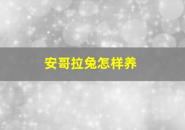 安哥拉兔怎样养