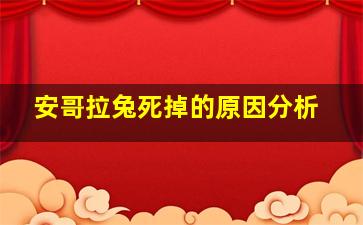 安哥拉兔死掉的原因分析