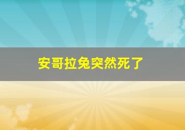 安哥拉兔突然死了