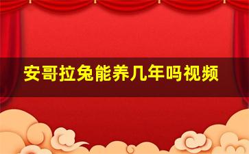 安哥拉兔能养几年吗视频