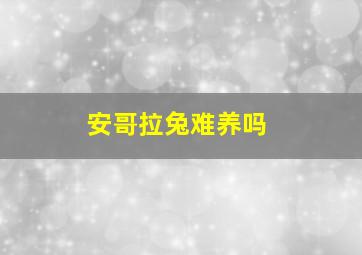 安哥拉兔难养吗