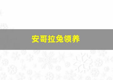 安哥拉兔领养