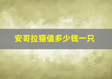 安哥拉猫值多少钱一只