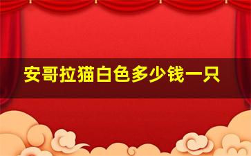 安哥拉猫白色多少钱一只