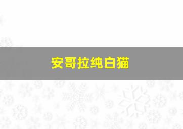 安哥拉纯白猫