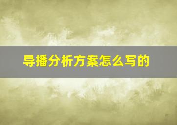 导播分析方案怎么写的