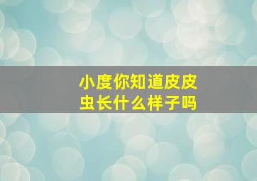 小度你知道皮皮虫长什么样子吗