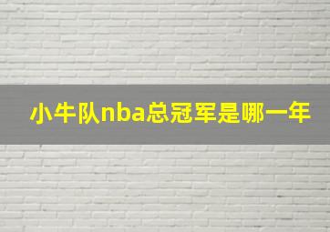 小牛队nba总冠军是哪一年