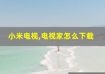 小米电视,电视家怎么下载