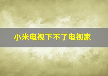 小米电视下不了电视家