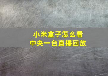 小米盒子怎么看中央一台直播回放