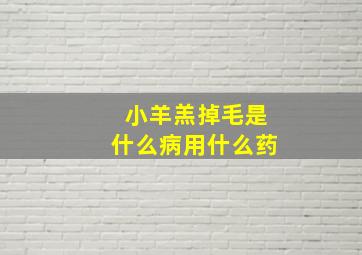 小羊羔掉毛是什么病用什么药