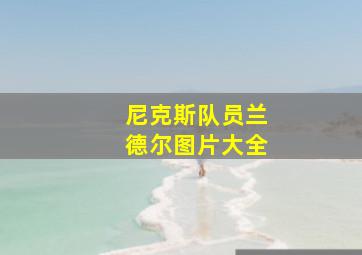 尼克斯队员兰德尔图片大全