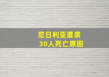 尼日利亚遭袭30人死亡原因