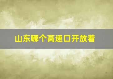 山东哪个高速口开放着