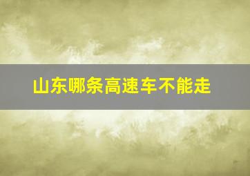 山东哪条高速车不能走