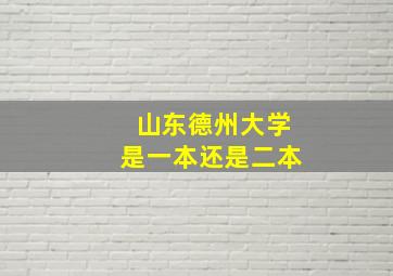 山东德州大学是一本还是二本