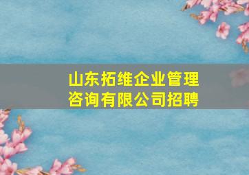 山东拓维企业管理咨询有限公司招聘