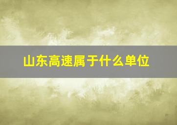 山东高速属于什么单位