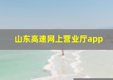 山东高速网上营业厅app