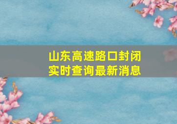 山东高速路口封闭实时查询最新消息