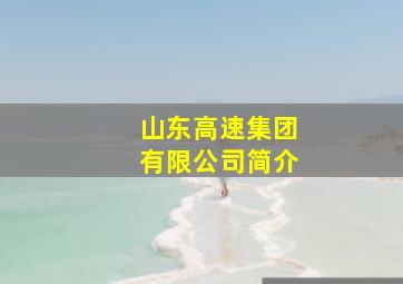 山东高速集团有限公司简介