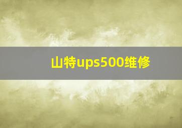 山特ups500维修