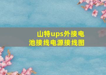 山特ups外接电池接线电源接线图