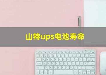 山特ups电池寿命