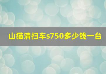 山猫清扫车s750多少钱一台