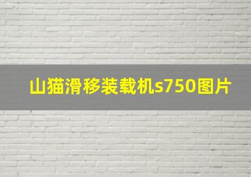 山猫滑移装载机s750图片