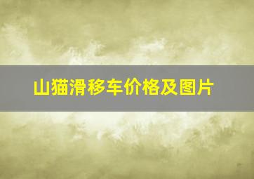 山猫滑移车价格及图片